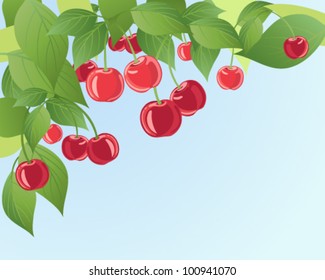 a vector illustration in eps 10 format of ripe red juicy cherries on a tree with foliage background and blue sky