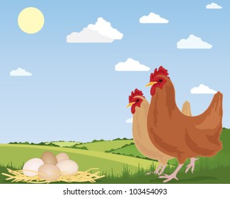 a vector illustration in eps 10 format of two free range chickens with newly laid eggs on straw and scenic countryside under a blue summer sky