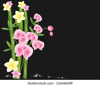 a vector illustration in eps 10 format of bamboo orchid and frangipani flowers with water droplets on a dark background with space for text