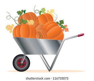 a vector illustration in eps 10 format of a silver wheelbarrow full of ripe pumpkins with vine and foliage isolated on a white background