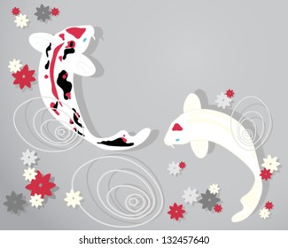 a vector illustration in eps 10 format of beautiful red black and white koi carp with blossom and ripples on water on a gray background