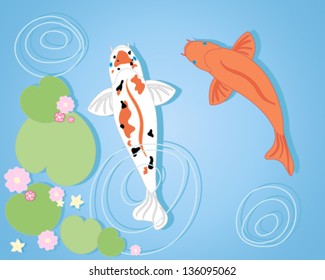 a vector illustration in eps 10 format of two colorful koi carp swimming in a pool with aquatic plants and water ripples on a blue background
