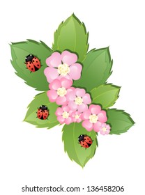 a vector illustration in eps 10 format of colorful ladybugs on green leaves and a posy of abstract pink flowers on a white background