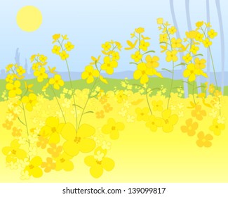 a vector illustration in eps 10 format of a beautiful bright yellow mustard field in picturesque rural punjab india under a sunny blue sky