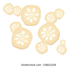 a vector illustration in eps 10 format of sections of lotus root scattered on a white background