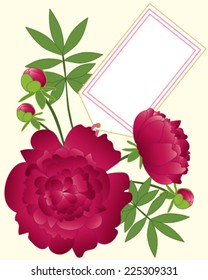 vector illustration in eps 10 format of a floral greeting card with beautiful dark red paeony flowers buds and foliage with fancy note card on a cream background