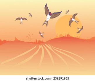 a vector illustration in eps 10 format with gradients of a flock of swallows getting ready to leave in autumn under a golden harvest sunset