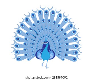 a vector illustration in eps 10 format of a beautiful peacock in shades of blue and purple on a white background