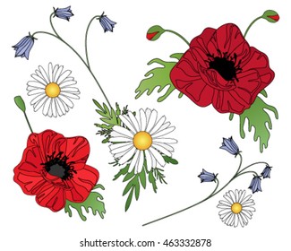 a vector illustration in eps 10 format of wildflowers including poppies harebells and daisies arranged on a white background