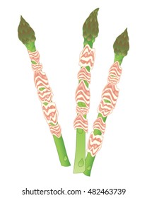 a vector illustration in eps 10 format of three spears of asparagus wrapped in ham for a delicious appetizer on a white background