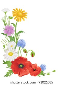 vector illustration in eps 10 format of annual wildflowers with red poppies yellow corn marigolds purple corncockle blue cornflowers and white daisies on white