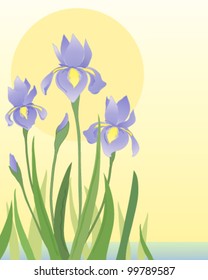 a vector illustration in eps 10 format of beautiful blue iris flowers and foliage in an aquatic setting