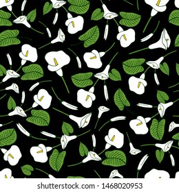 vector illustration eps 10. seamless pattern made from white calla lily. Hand drawing