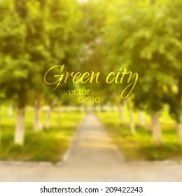vector illustration EPS 10. straight road in a park surrounded by branches and leaves of trees. summer park blurred background