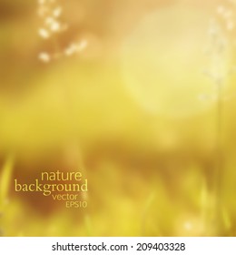 vector illustration EPS 10. yellow blurred autumn background