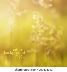 vector illustration EPS 10. yellow blurred autumn background