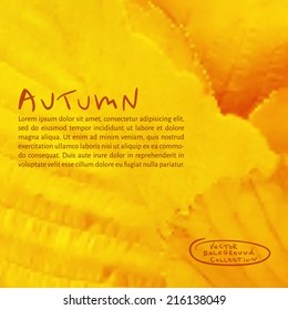 vector illustration EPS 10. yellow fallen leaves. autumn nature background