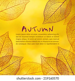vector illustration EPS 10. yellow blurred autumn background