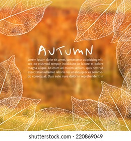 vector illustration EPS 10. yellow blurred autumn background