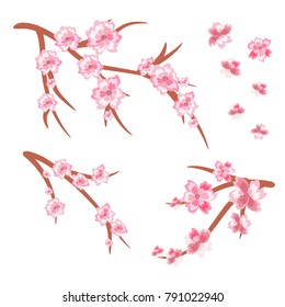 Vector Illustration .Eps 10.Spring sakura cherry blooming flowers,  branches vector set for your own design. Branch of sakura with flower blossom, illustration of pink flowers.
