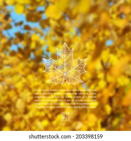 Vector illustration. EPS10. Autumn sketch with space for text on a background of blurred photos