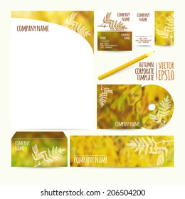 Vector illustration. EPS10. Corporate identity business design. Set.