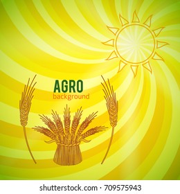 Vector illustration eps10 Elements design - Includes silhouette cereal sheaf, sun, spica spikes & organic agriculture theme, on Abstract spiral  background bright glow perspective with lighting yellow