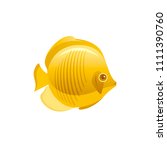 Vector illustration eps10, isolated on white background. Realistic sea animal symbol, 3d butterfly fish. Tropical underwater aquatic creatures, cartoon cute icon. Summer travel flat sign.