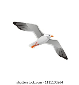 Vector illustration eps10, isolated on white background. Realistic animal, sea bird symbol, 3d seagull. Flying free gull, cartoon cute icon. Summer travel flat sign. 