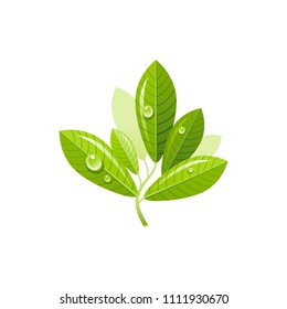 Vector illustration eps10, isolated on white background. Realistic tea leaf drink symbol, 3d green fresh plant branch. Cartoon cute icon. Retro herbal nature flat sign.