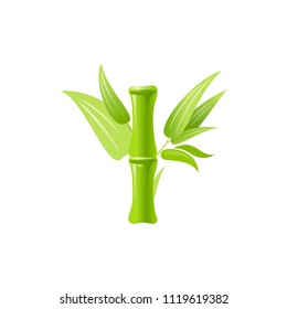 Vector illustration eps10 isolated on white background. Realistic vacation travel symbol exotic tropical design, 3d bamboo tree leaf. Cartoon cute paradise Hawaii sea beach icon flat sign