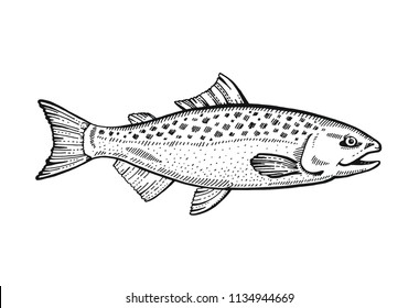 823 Fish Tatoo Images, Stock Photos & Vectors | Shutterstock