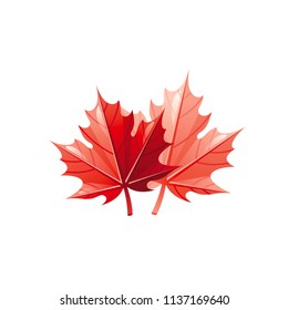 Vector illustration eps10 isolated on white background. Realistic autumn nature plant symbol, 3d fall red maple leaves concept. Cartoon leaf cute icon. Retro flat sign