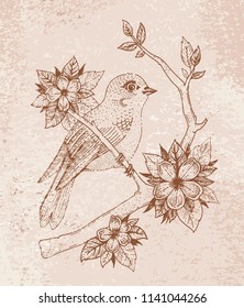 Vector illustration eps10 isolated on brown background. Hand drawn retro icon, vintage ink engraving art. Line drawing bird on flower tree branch, springtime cherry blossom. Watercolor splash nature