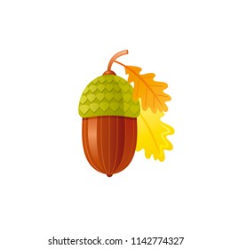 Vector illustration eps10 isolated on white background. Realistic autumn nature symbol, 3d fall holiday concept. Tree leaf, oak acorn cartoon cute icon. Retro woodland falling leaves flat sign