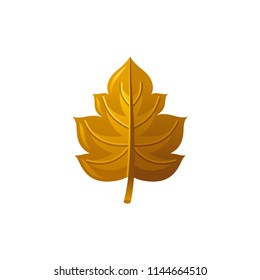 Vector illustration eps10 isolated on white background. Realistic autumn nature symbol, 3d fall holiday concept. Tree leaf grapes cartoon fedtive cute icon. Retro falling leaves vineyard flat sign