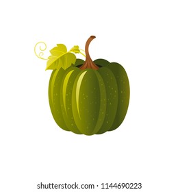 Vector illustration eps10 isolated on white background. Realistic autumn nature symbol, 3d fall holiday concept. Ripe orange pumpkin vegetable, harvest festival cartoon cute icon. Retro flat sign