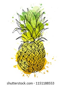 Vector illustration eps10 isolated on white background. Realistic food drink symbol, 3d hand drawn pineapple fruit. Cartoon cute ananas drawing icon, watercolor splash, pastel colors. Retro flat sign