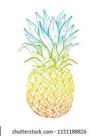 Vector illustration eps10 isolated on white background. Realistic food drink symbol, 3d hand drawn gradient pineapple fruit. Cartoon cute ananas drawing icon, watercolor pastel colors. Retro flat sign