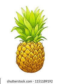 Ilustración vectorial eps10 aislados en fondo blanco. Símbolo de bebida de comida realista, fruta de piña alegre dibujada a mano. Dibujo de caricaturas adorables ananas icono de dibujo, acuarela colores pastel. Signo plano retro