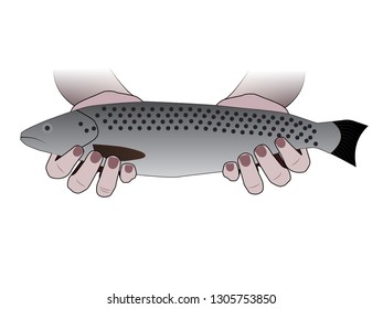 Vector illustration eps10 isolated on white background. Salmon seafood, healthy organic food symbol