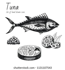Vector illustration eps10 isolated white background. Hand drawn retro icon set, vintage ink engraving art. Line drawing, red fish caviar, lemon steak fillet. Tuna restaurant menu seafood, food symbol