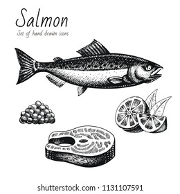 Vector illustration eps10 isolated white background. Hand drawn retro icon set, vintage ink engraving art. Line drawing, red fish caviar lemon steak fillet. Salmon restaurant menu seafood, food symbol