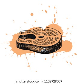 Vector illustration eps10 isolated white background. Hand drawn icon, vintage ink engraving art watercolor splash. Black line drawing, red fish roast steak. Salmon tuna fillet meat seafood food symbol