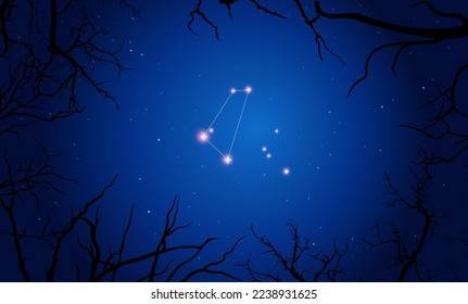 Vector illustration Equuleus constellation. Bright constellation in open space. Starry sky behind tree silhouette