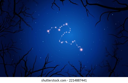 Vector illustration Eridanus constellation. Tree branches, dark blue starry sky, cosmos. Illustration of constellation scheme Eridanus