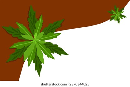 ilustración vectorial de erigeron bonariensis para fondo