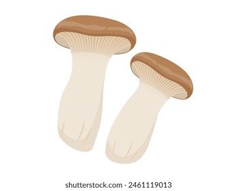 Vector illustration of eryngii mushroom 