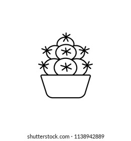 Vector illustration of escobaria cactus in the pot. Desert succulent plant for terrarium and rock garden. Line icon. Isolated object on white background. 