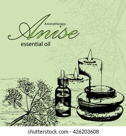 vector illustration of essential oil of anise in the style of hand drawn